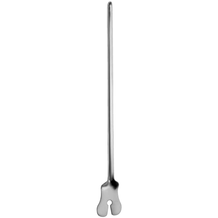Butterfly Grooved Director With Tongue Tie