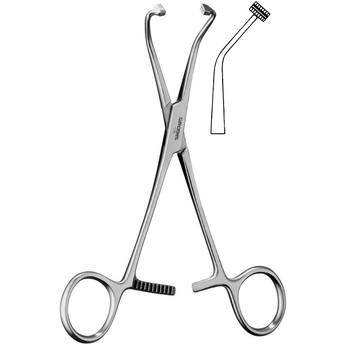 Peers Bertman Towel Forceps Serrated