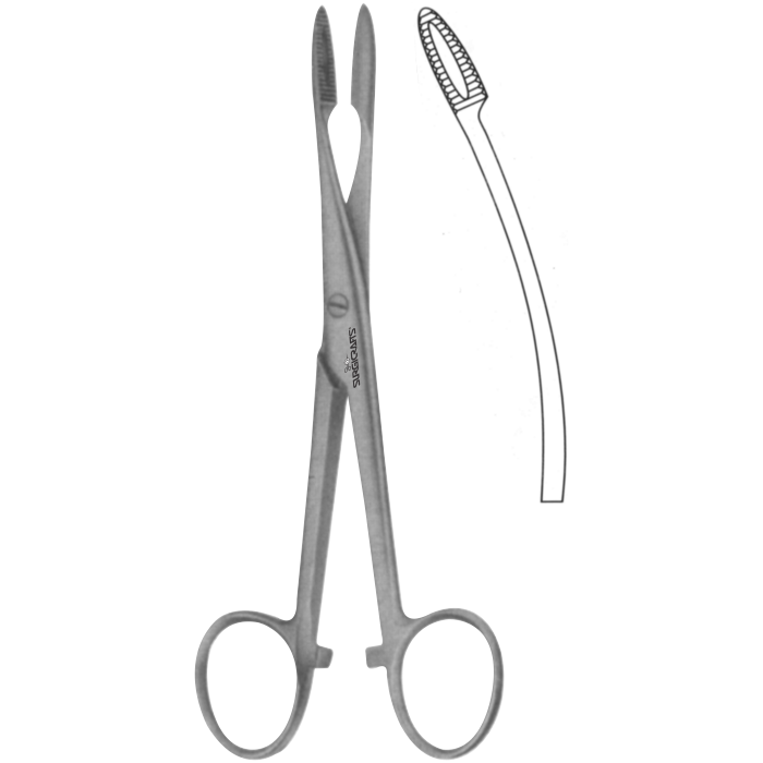 Gross Maier Dressing Forceps Ratchet