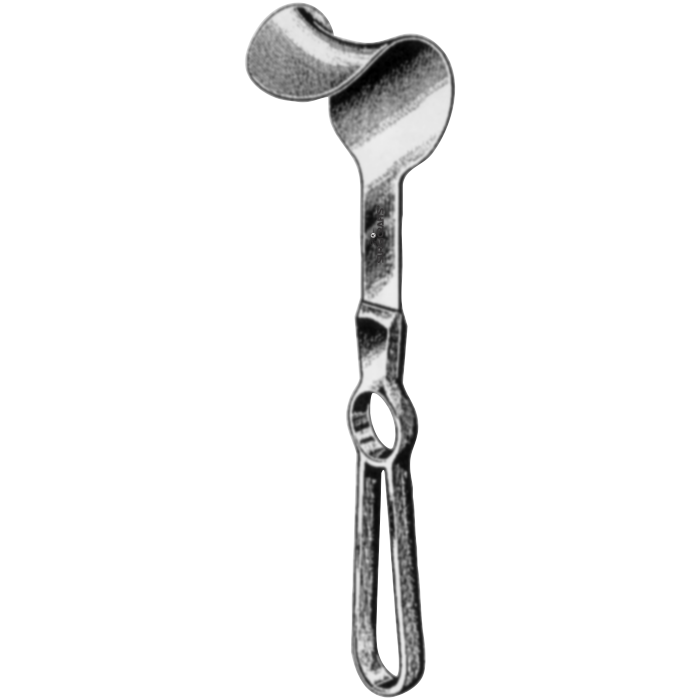 Fritsch Retractor