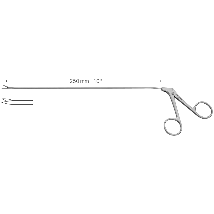 Broncho Oesophagoscopy Forceps