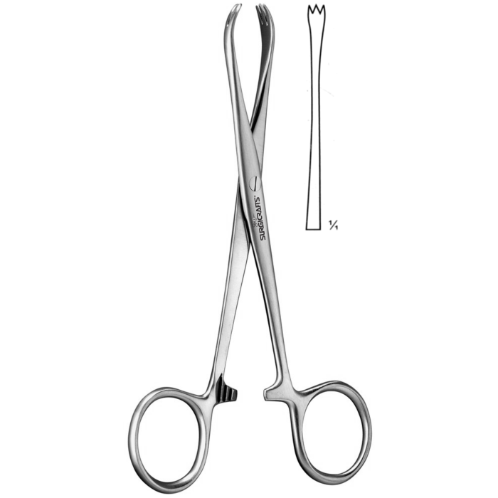 Chaput Tissue Forceps