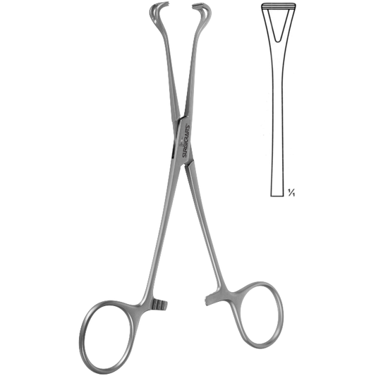 Babcock Seizing Forceps