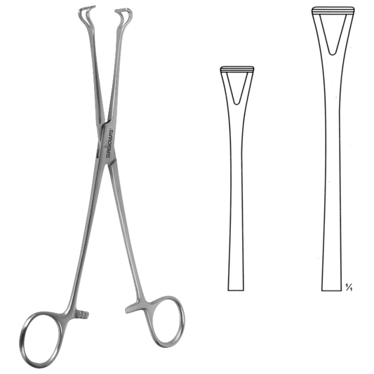 Babcock Seizing Forceps