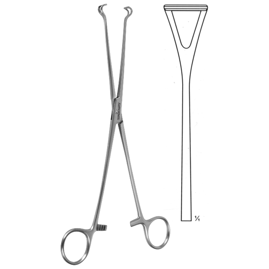 Babcock Seizing Forceps