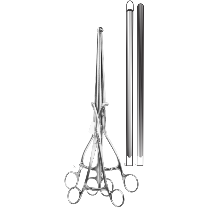 Haberer Stomach Intestinal Twin Clamp