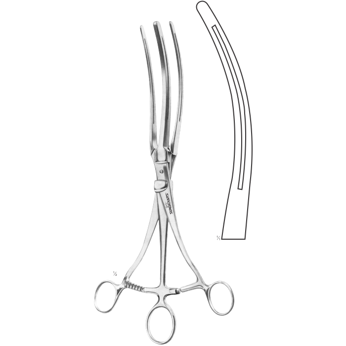 Roosevelt Stomach Intestinal Twin Clamp