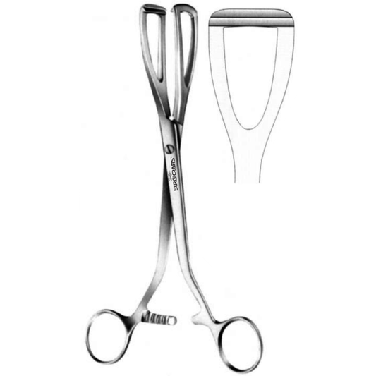 Young Lobe Holding Forceps
